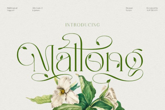 Mallong: A Serif Font Blending Timeless Elegance with Organic Grace