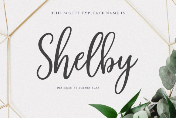 Shelby Script: A Modern Calligraphy Font for Creative Projects