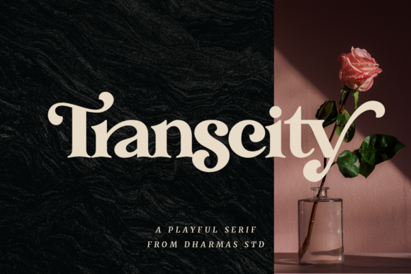 Transcity: Where Bold Character Meets Elegant Design